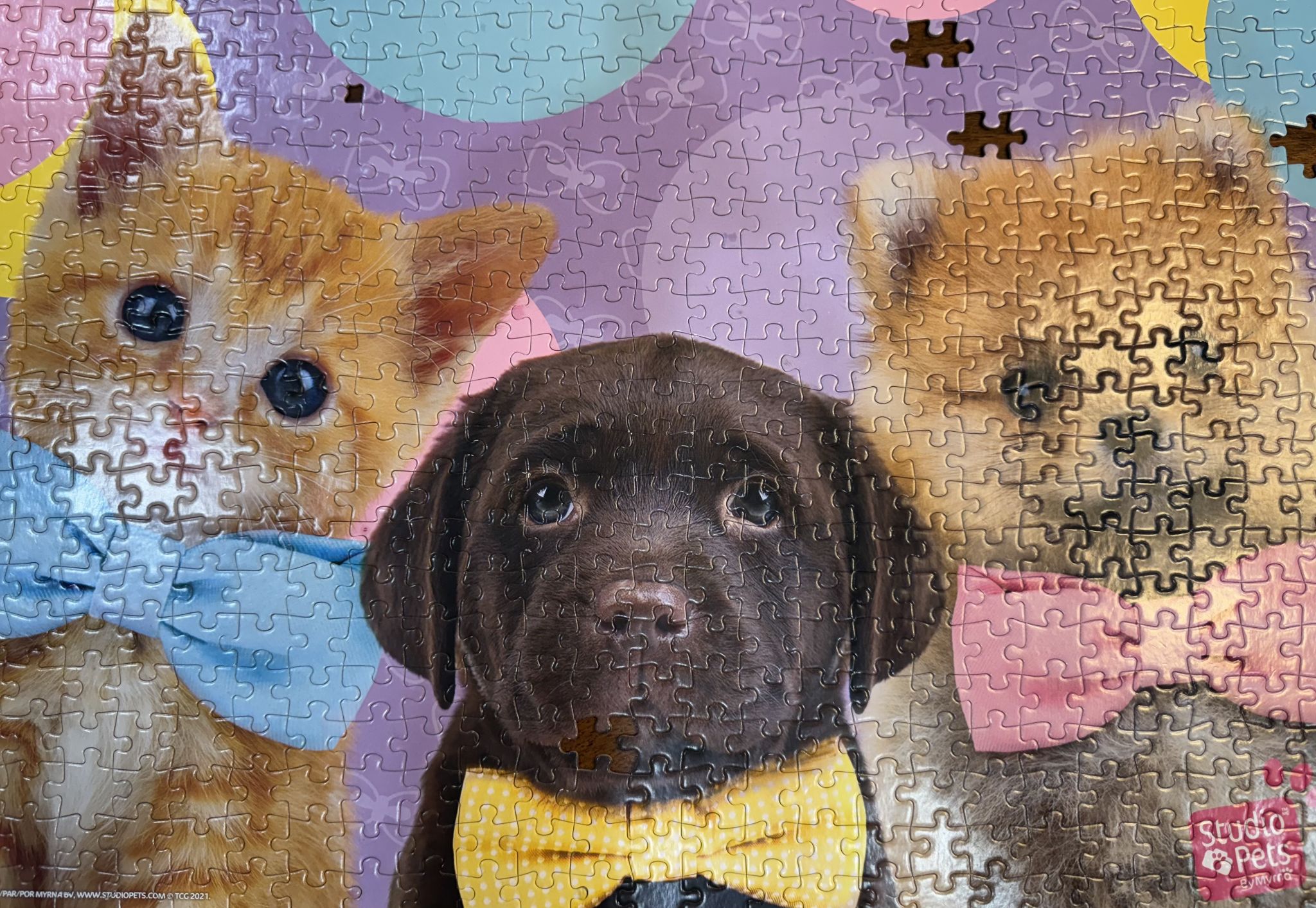 Banged out this 500 piece piece the past two days