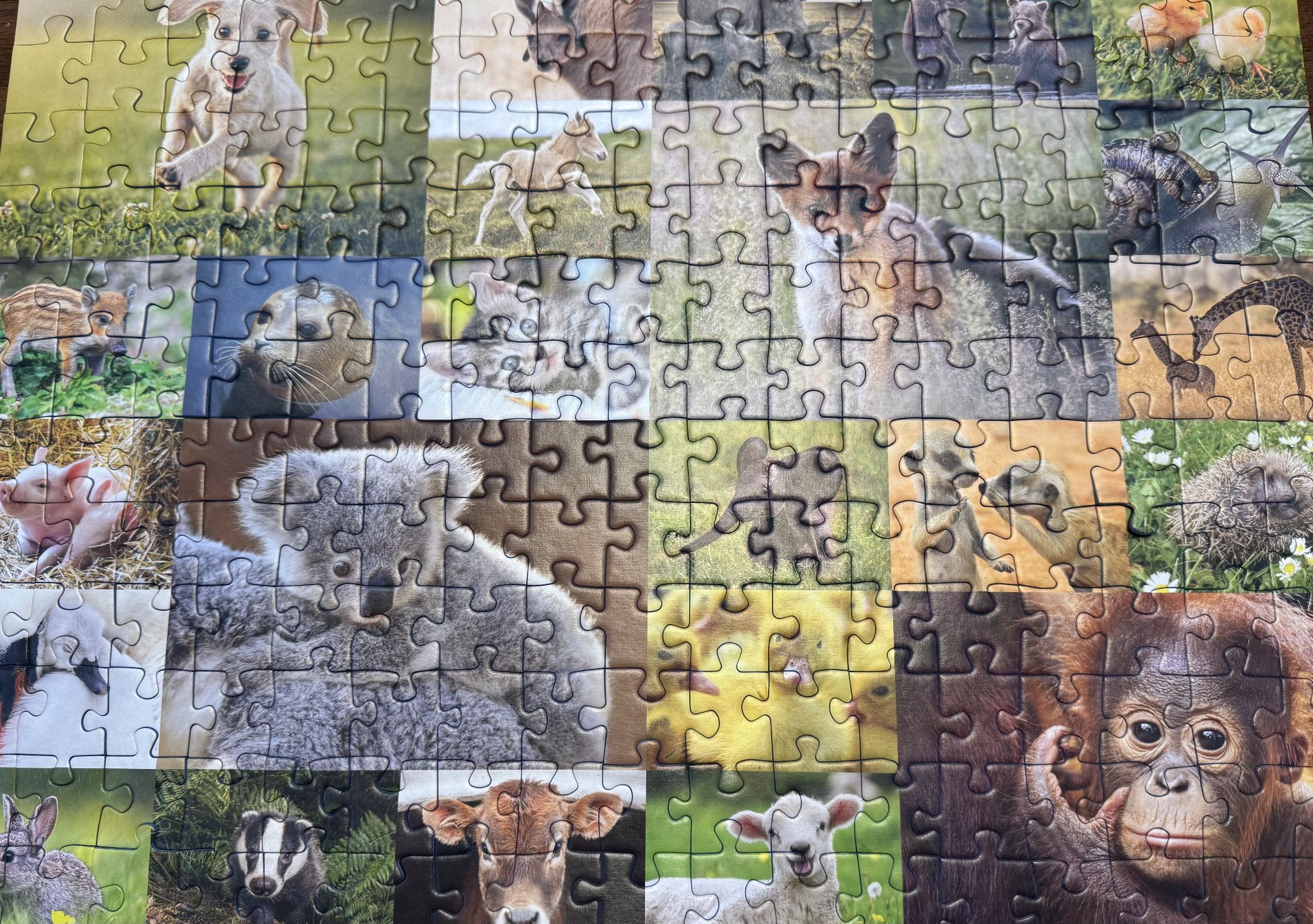 And my daughter knocked out this 200 piece jawn