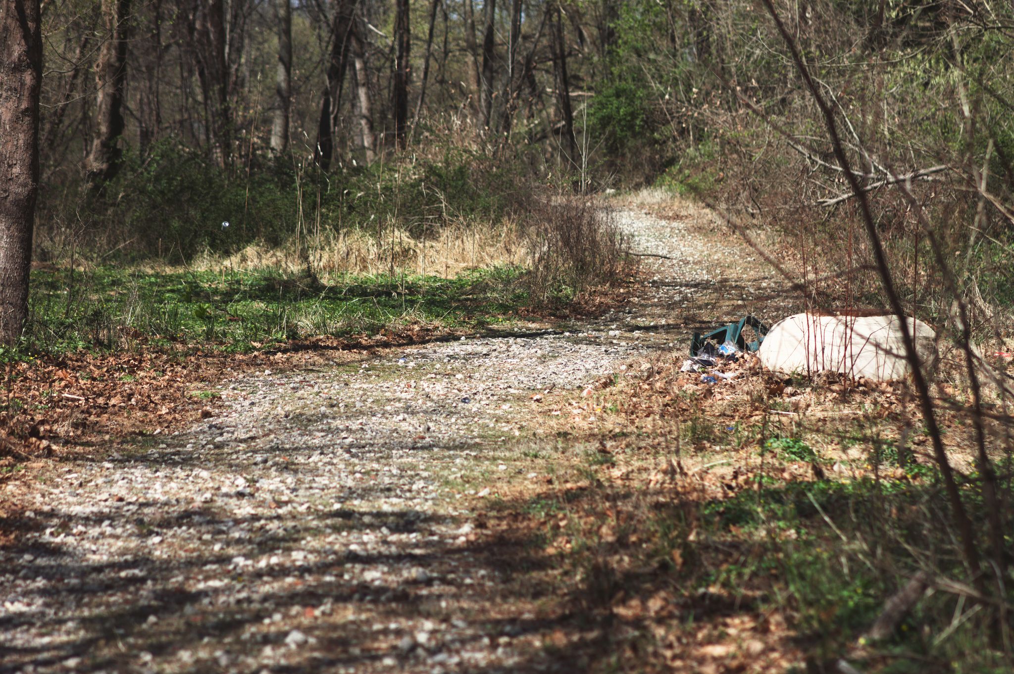 A stone gravel trail in the woods.