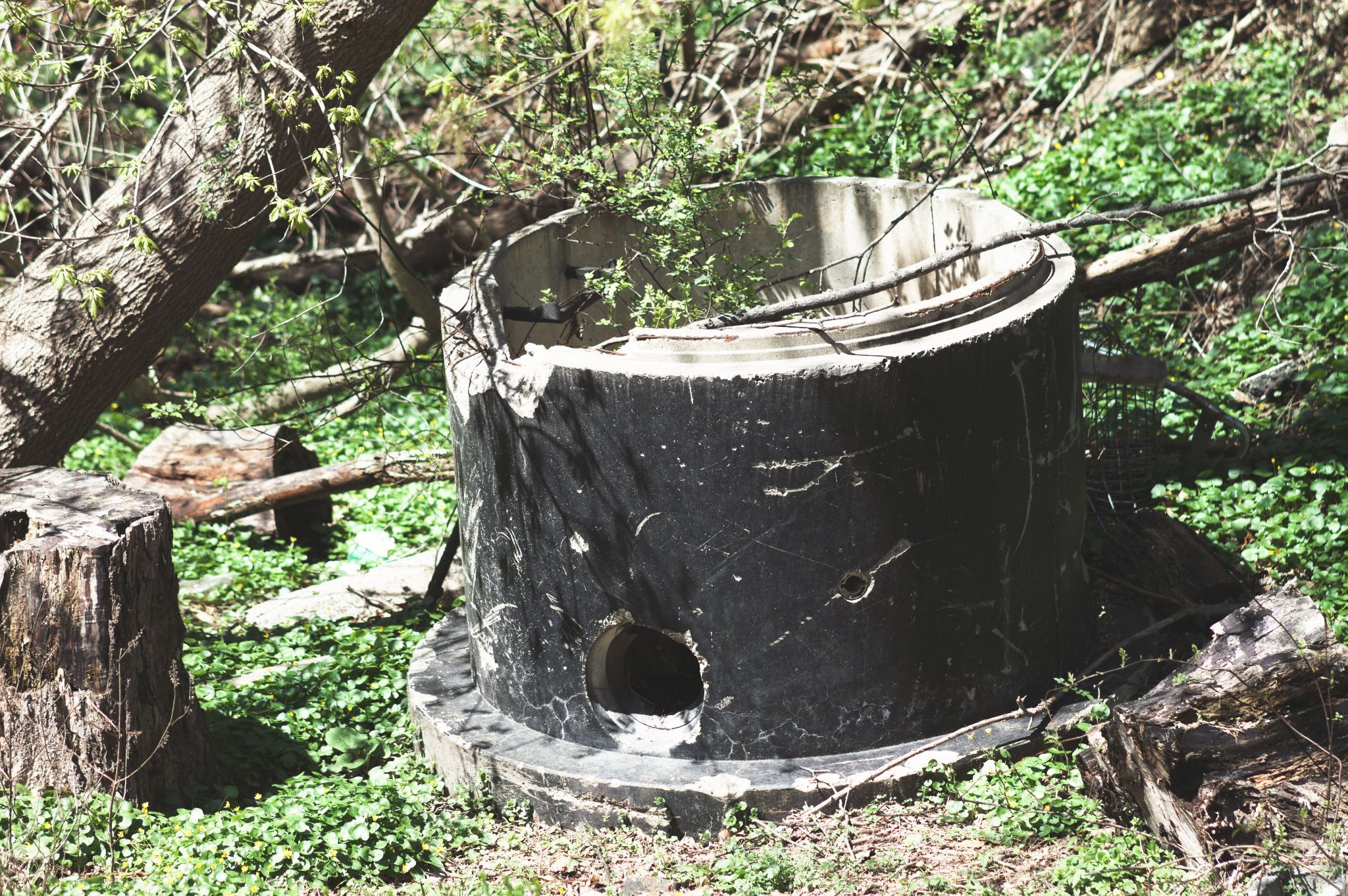 A derelict concrete pipe in the woods