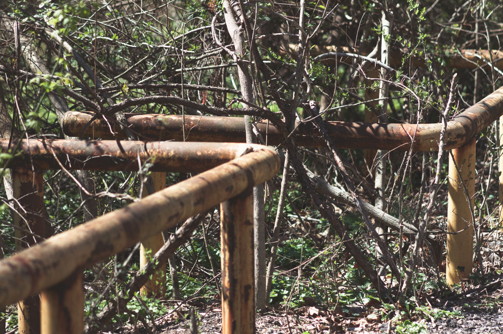 A rusty steel barrier overgrown with brushes