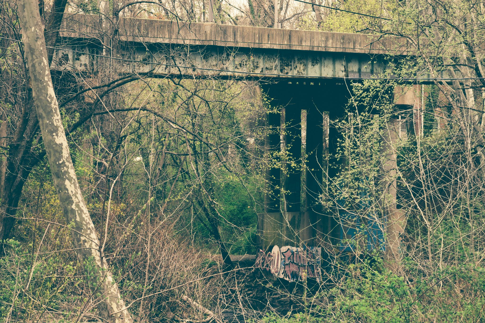 A bridge underpass surrounded by trees and brush.