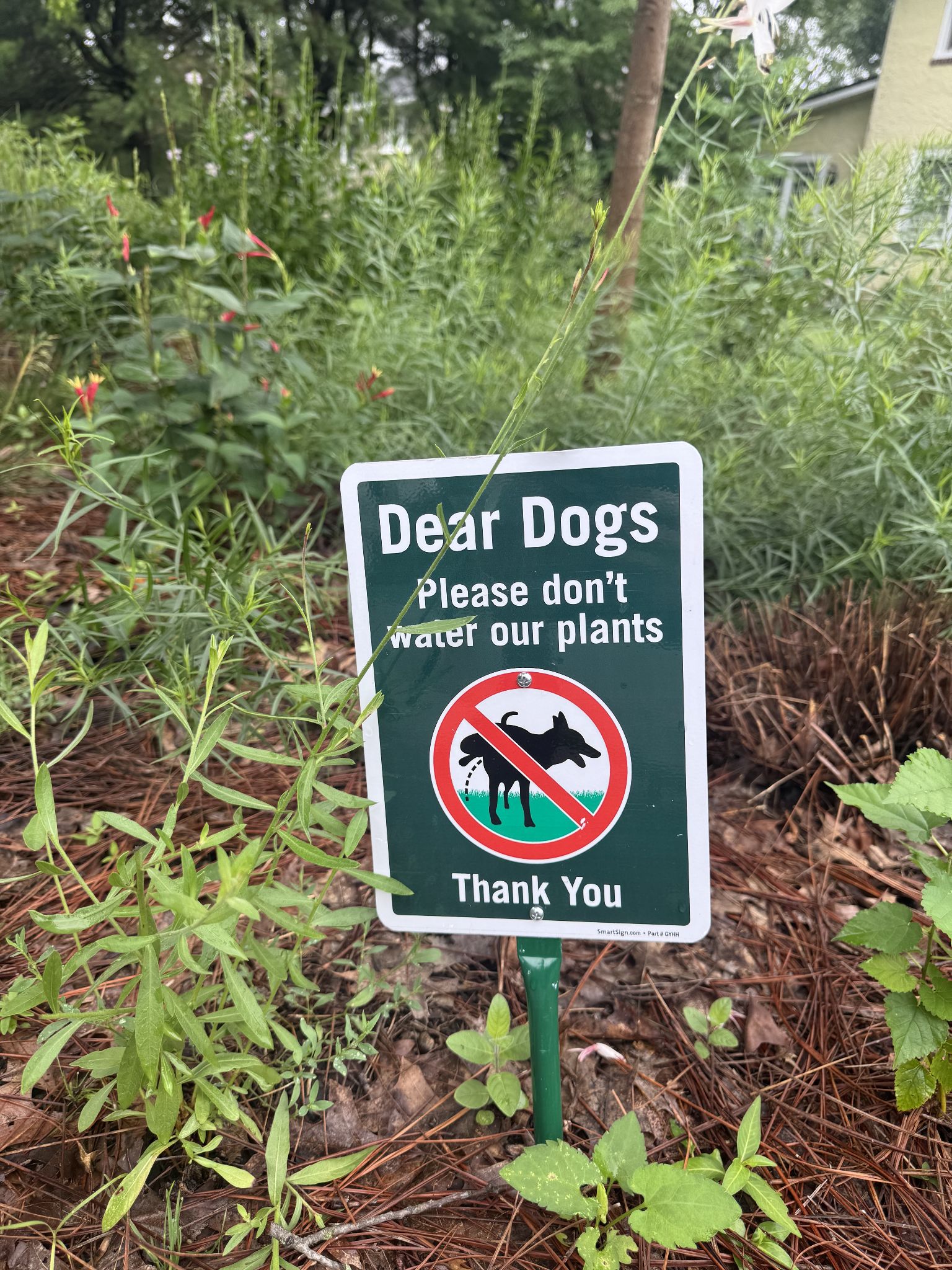 And a very nice, pollinator friendly garden on top of it