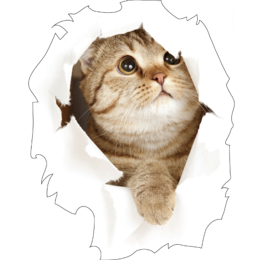 community icon