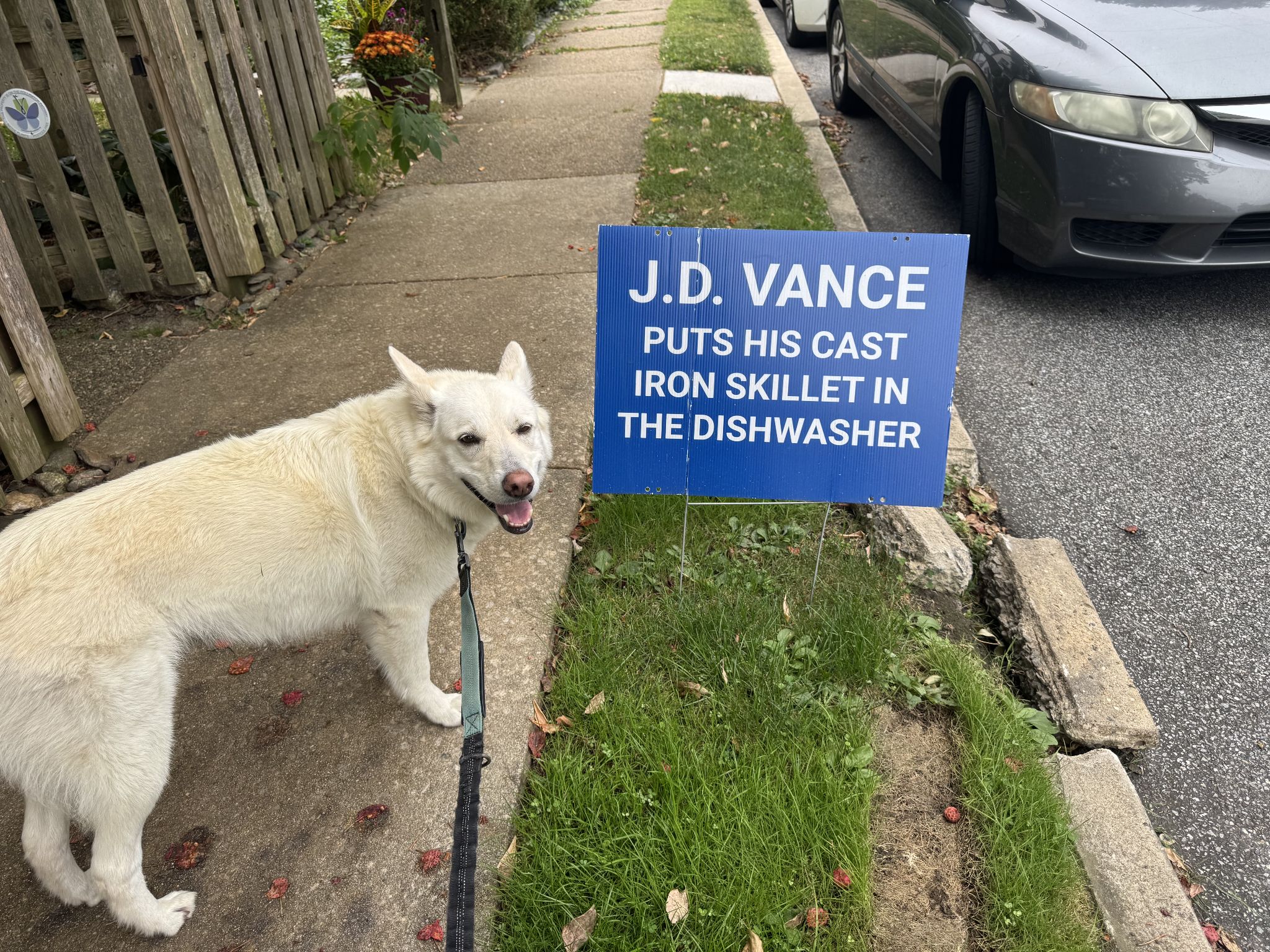 I don’t care who you are, that’s funny