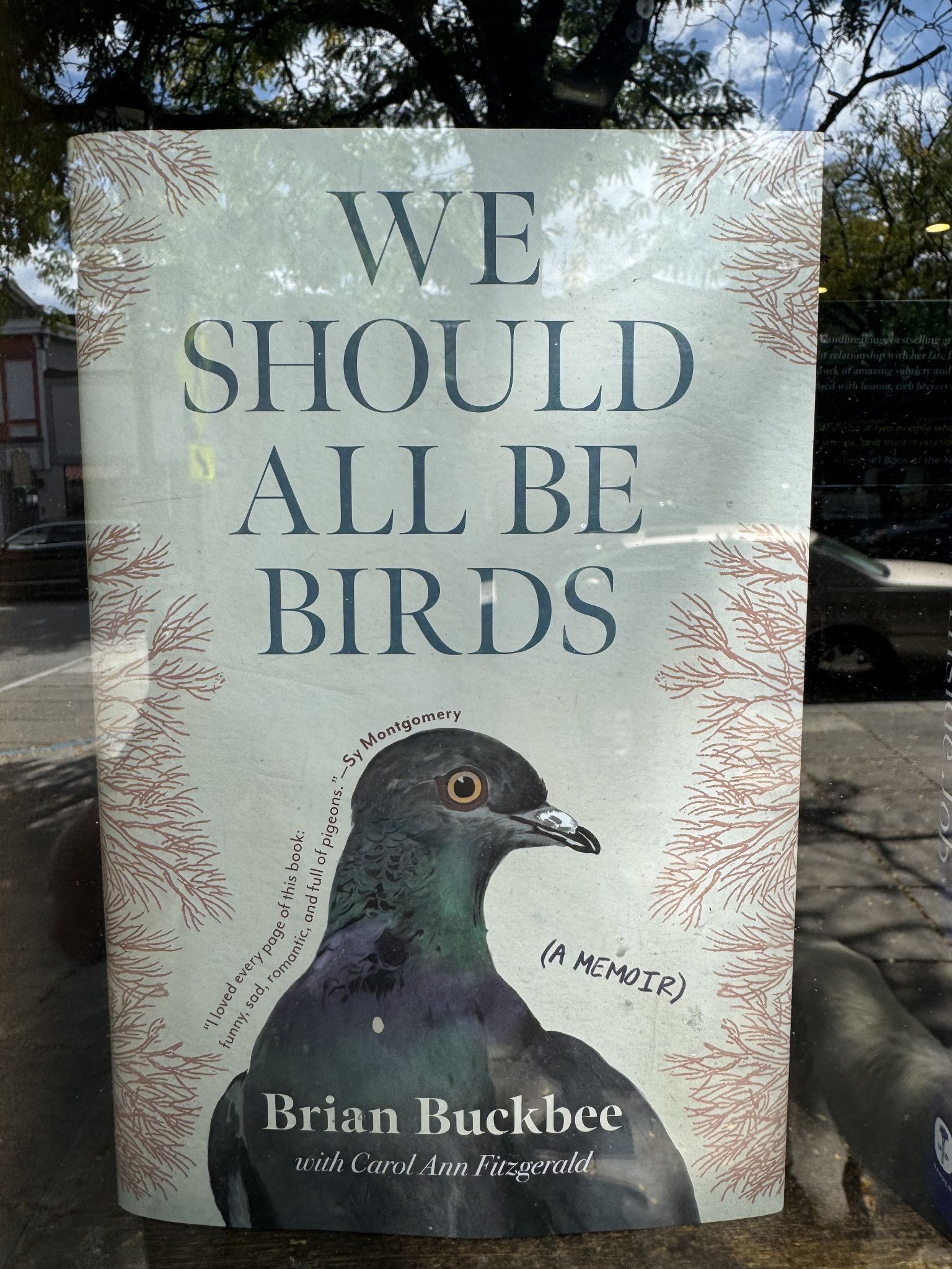 Technically not a corvid, but whatever