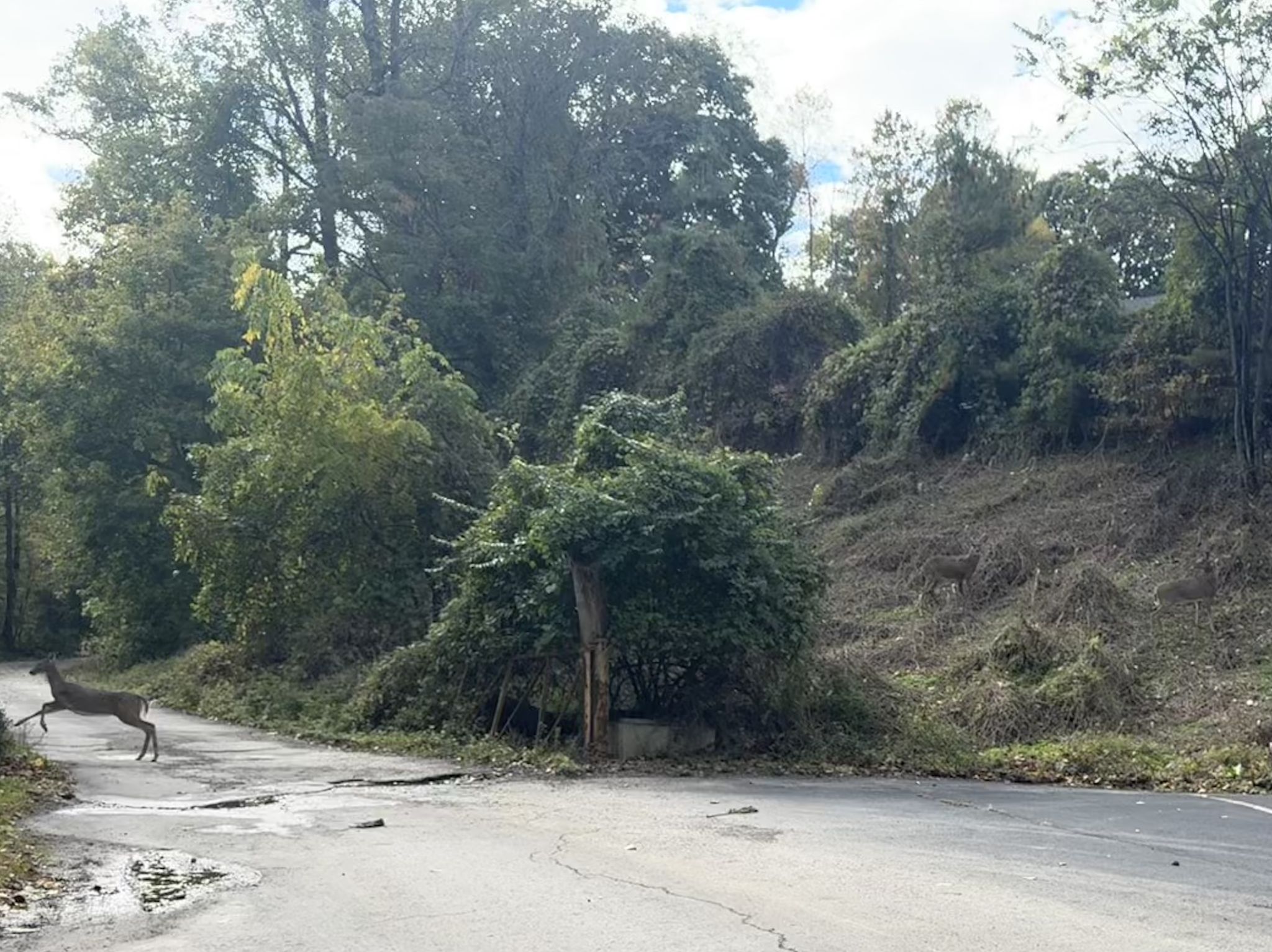 Can you spot them all?