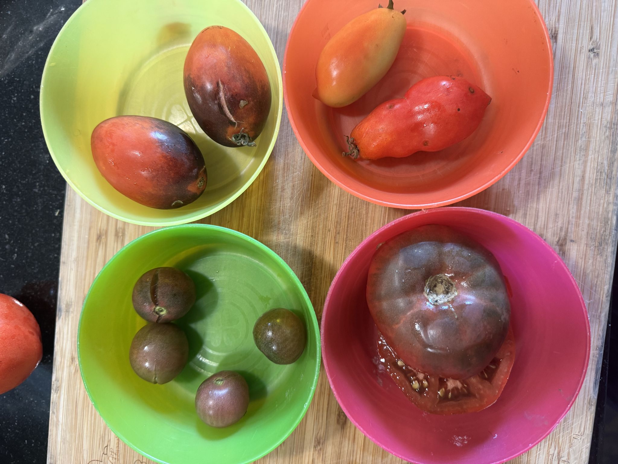 The various tomatoes I used 