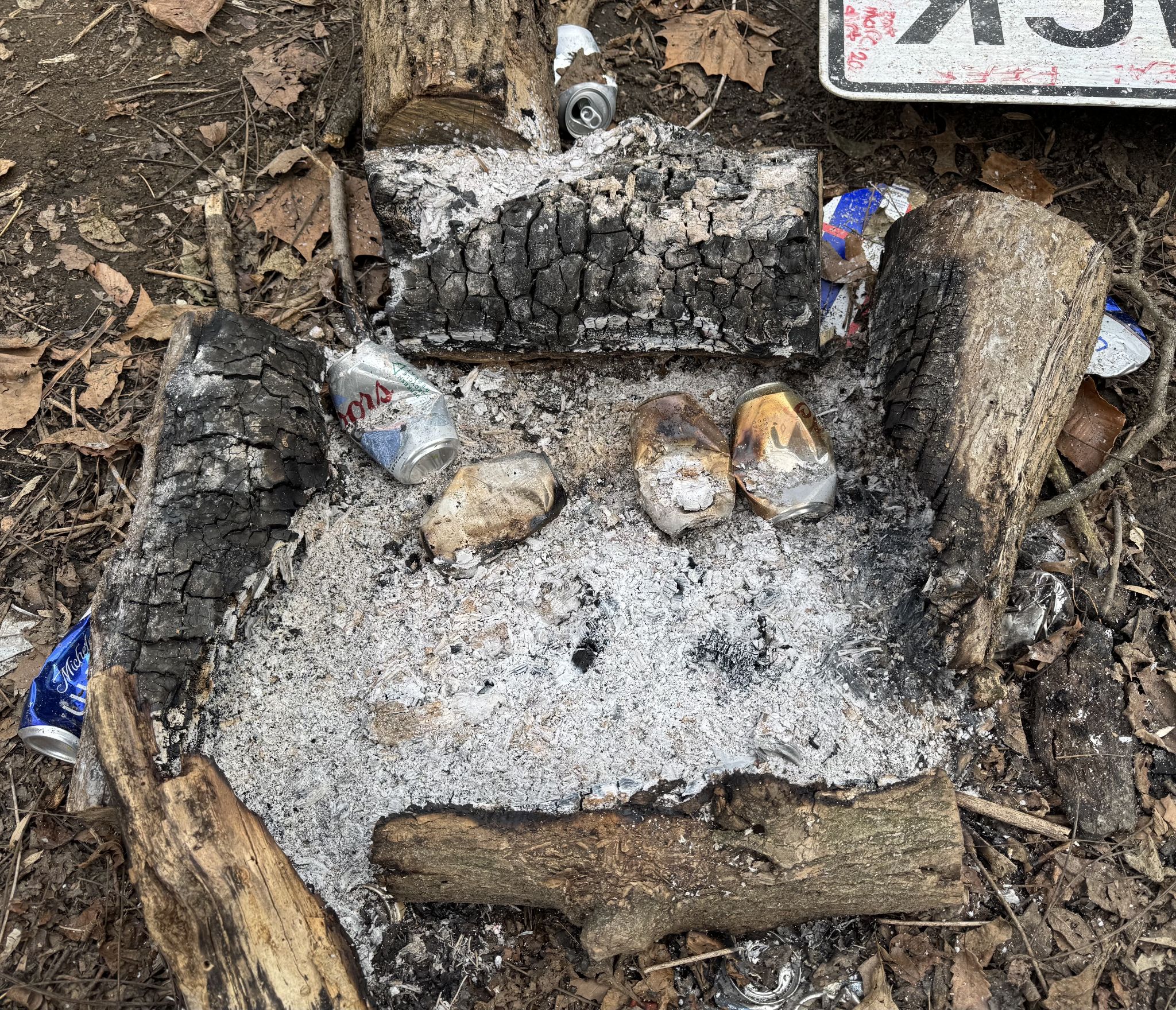 Bold approach on the fire pit