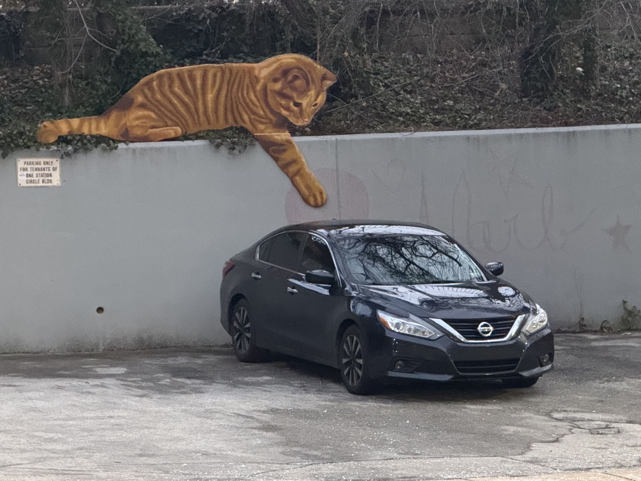 Actual car for scale
