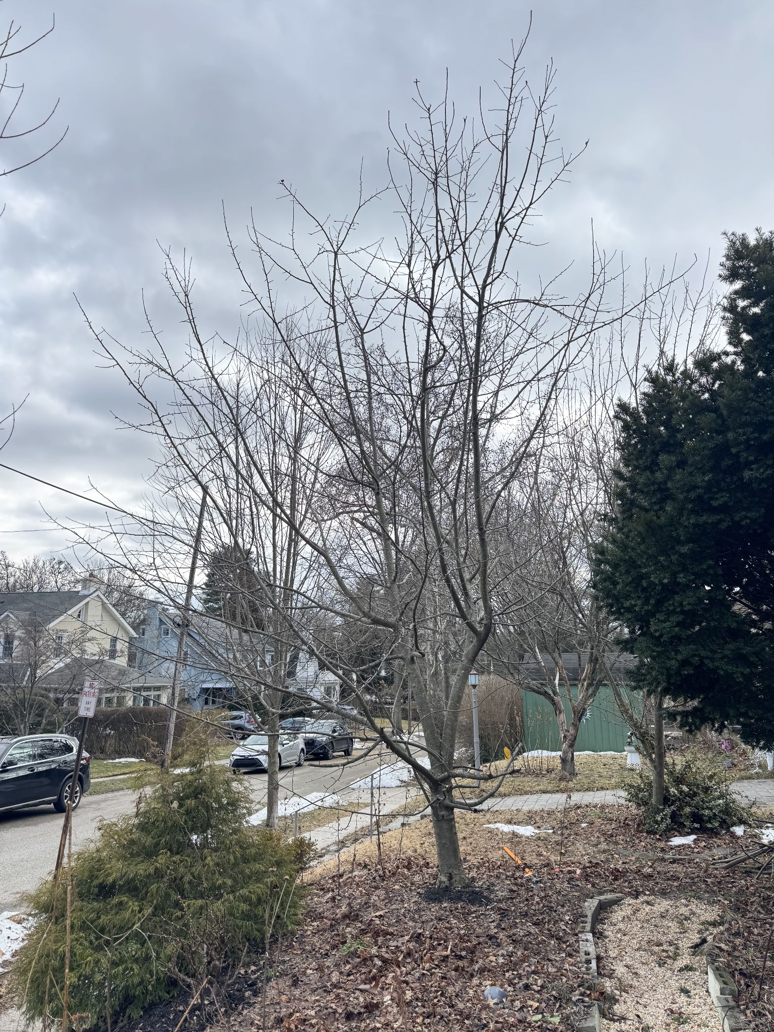 Success? Not sure where to go from here, but sounds like I’ll want to wait until next year to do more