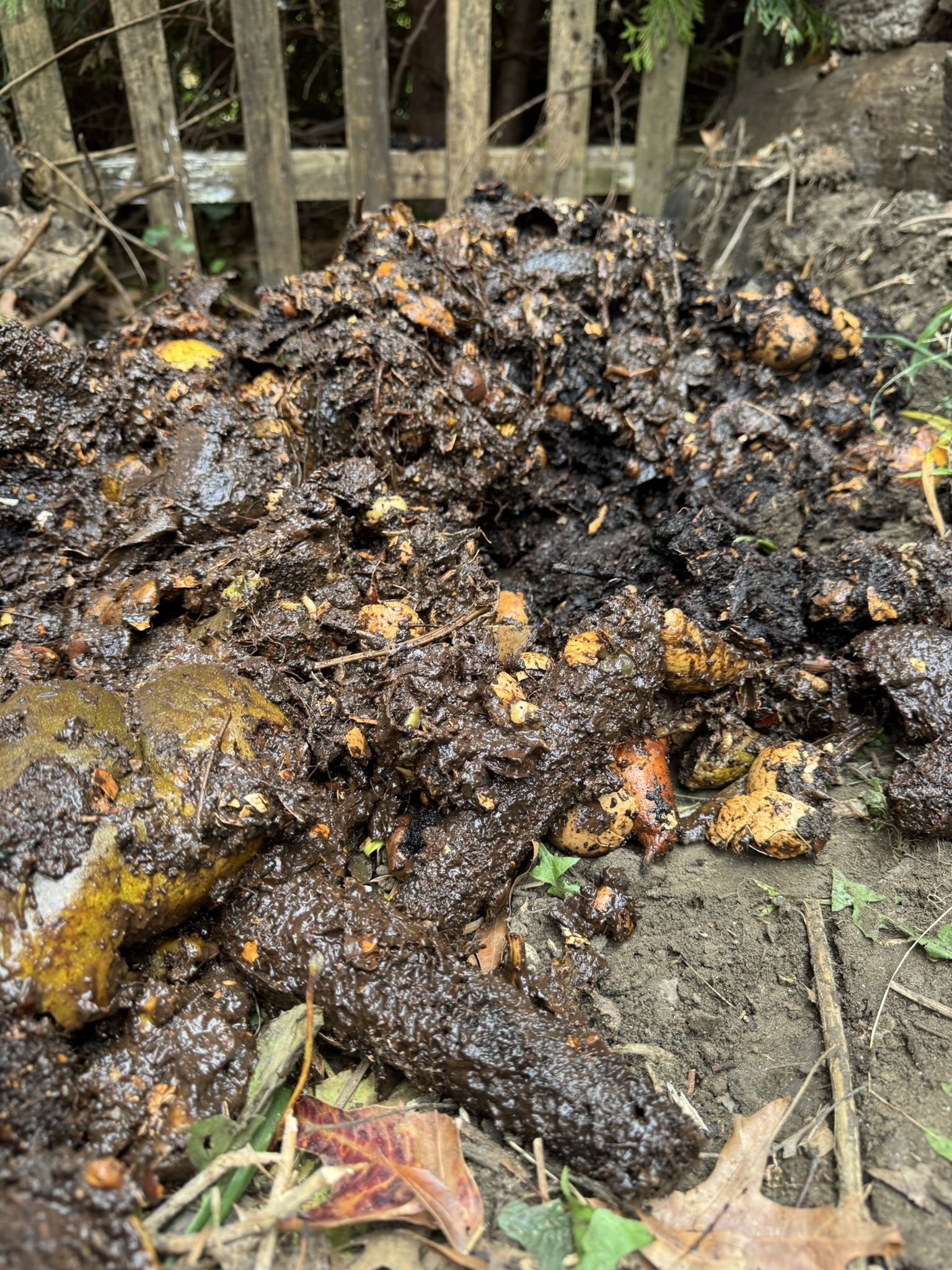 And the goo it'd been working on