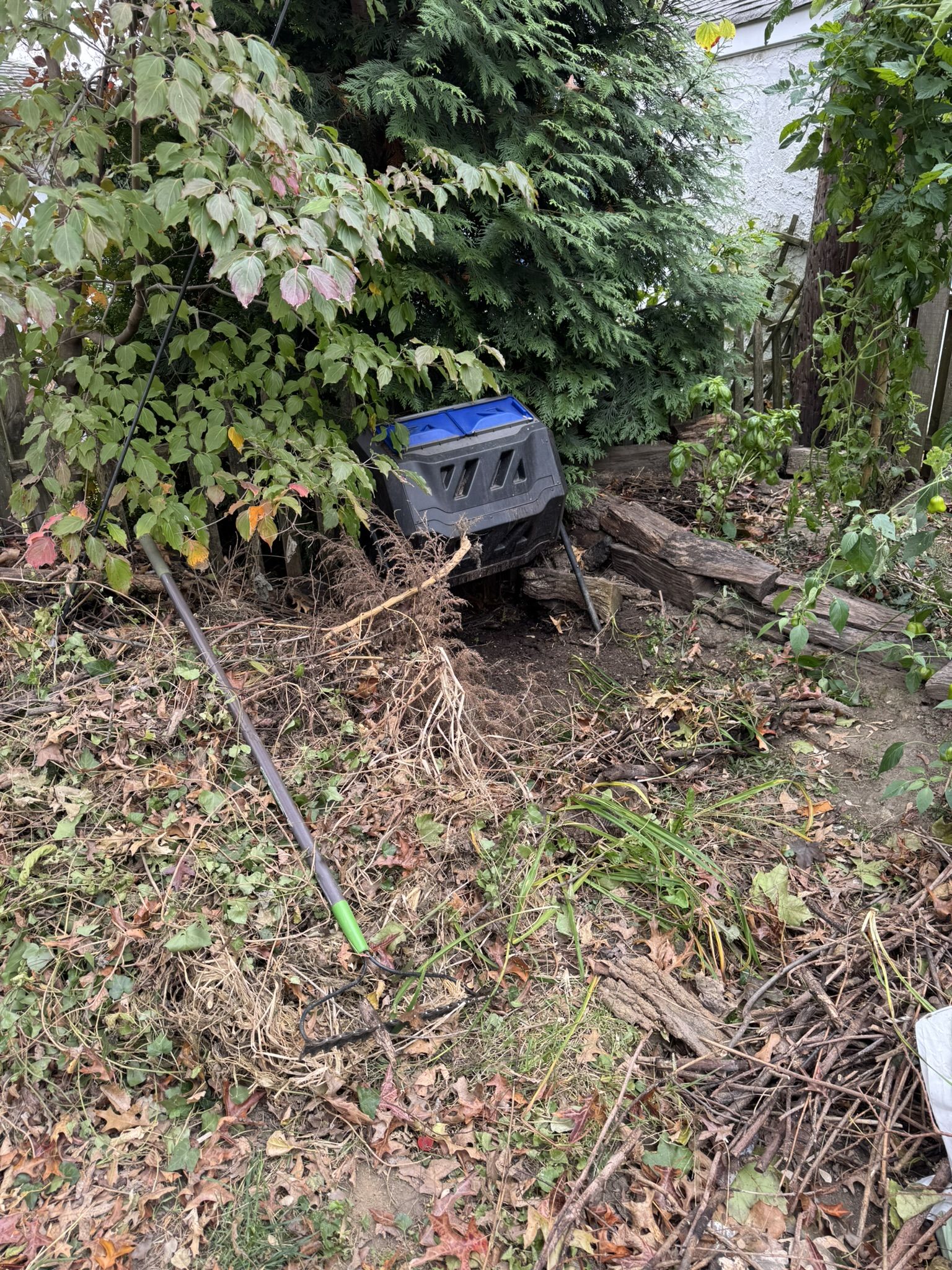 Oh wait but now we're back to the actual beginning again. Here is where my compost thing used to be and where everything above is going