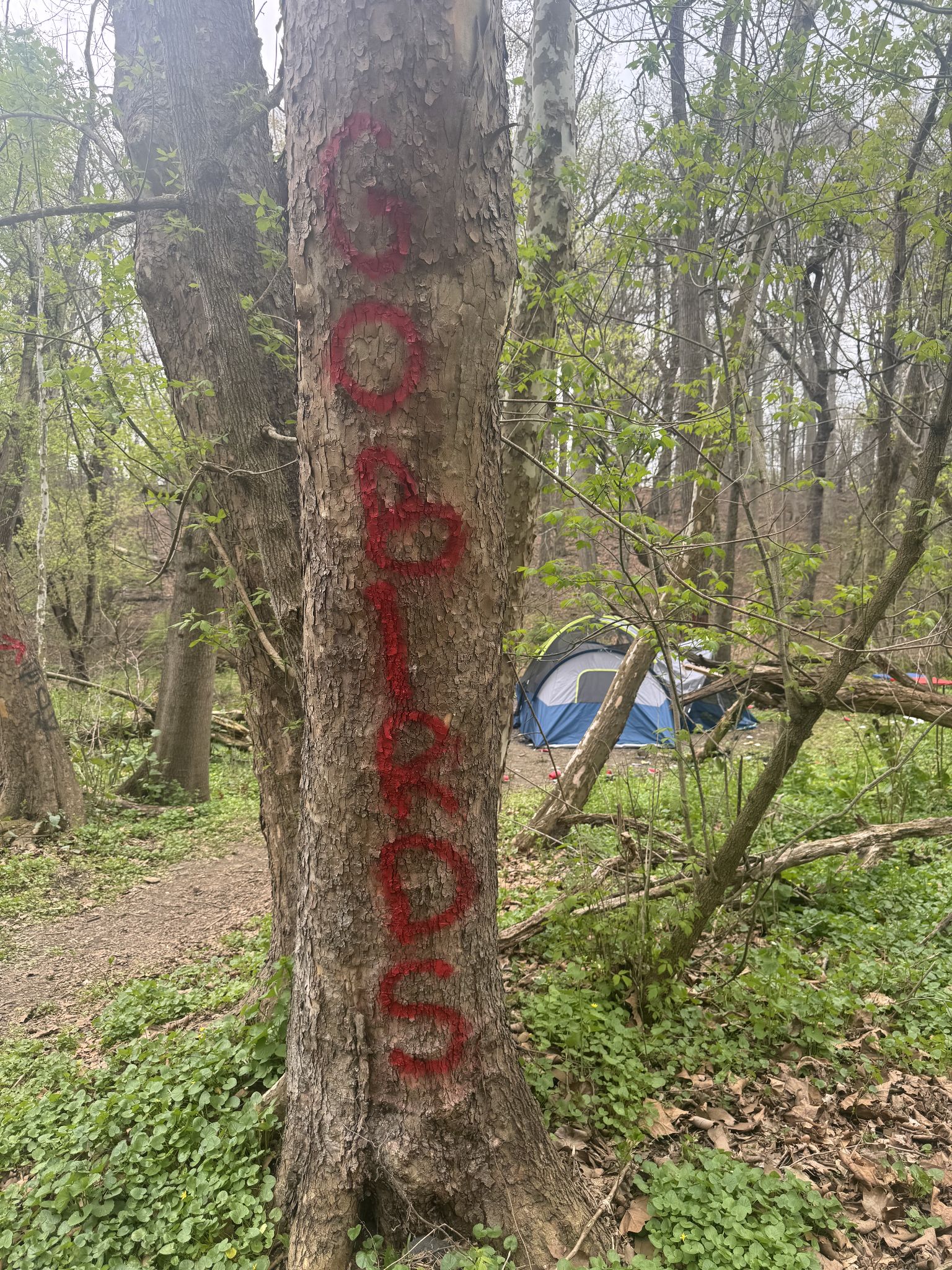 New graffiti with directions to tent 