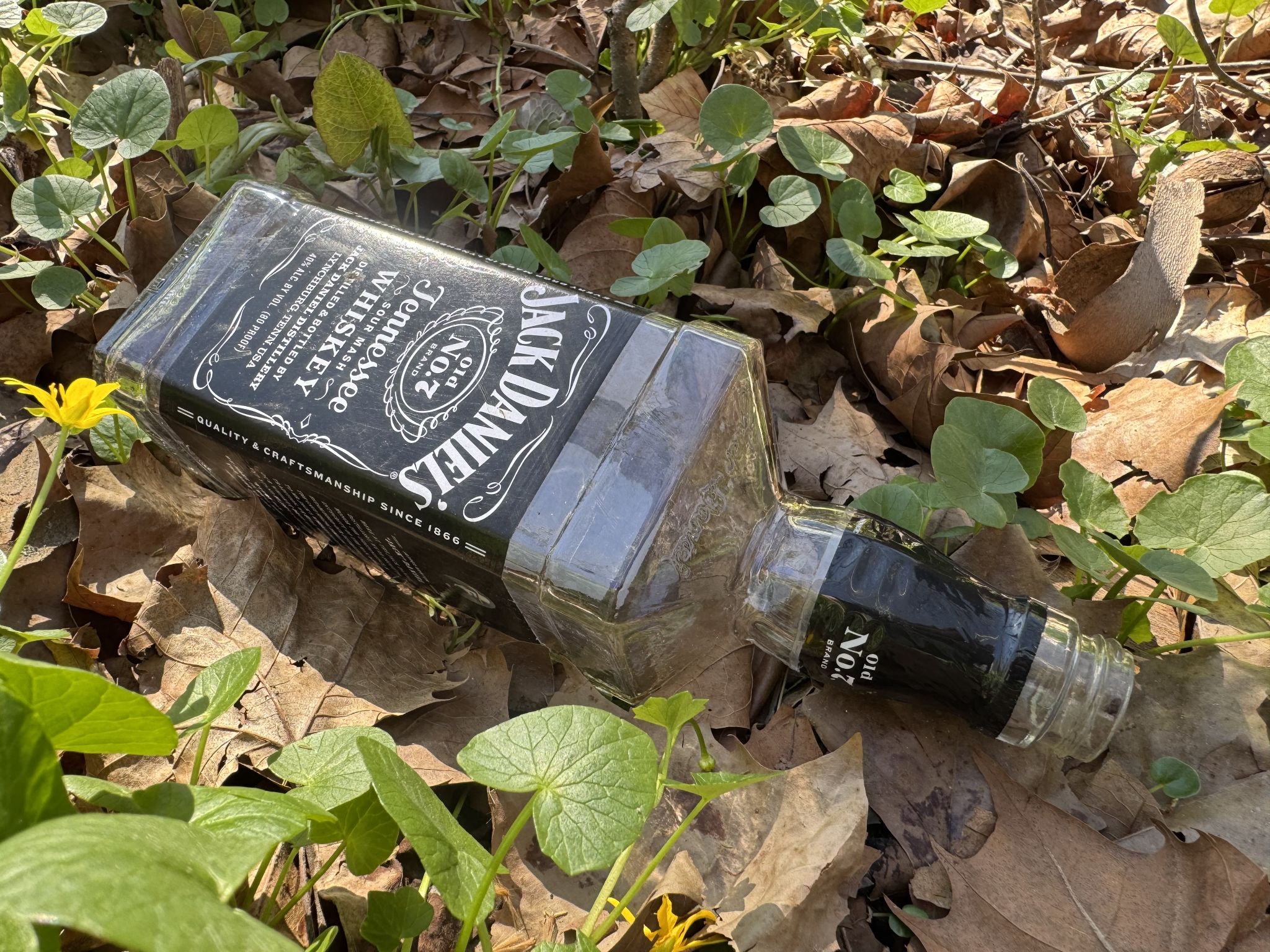 Stepping up the game a bit 