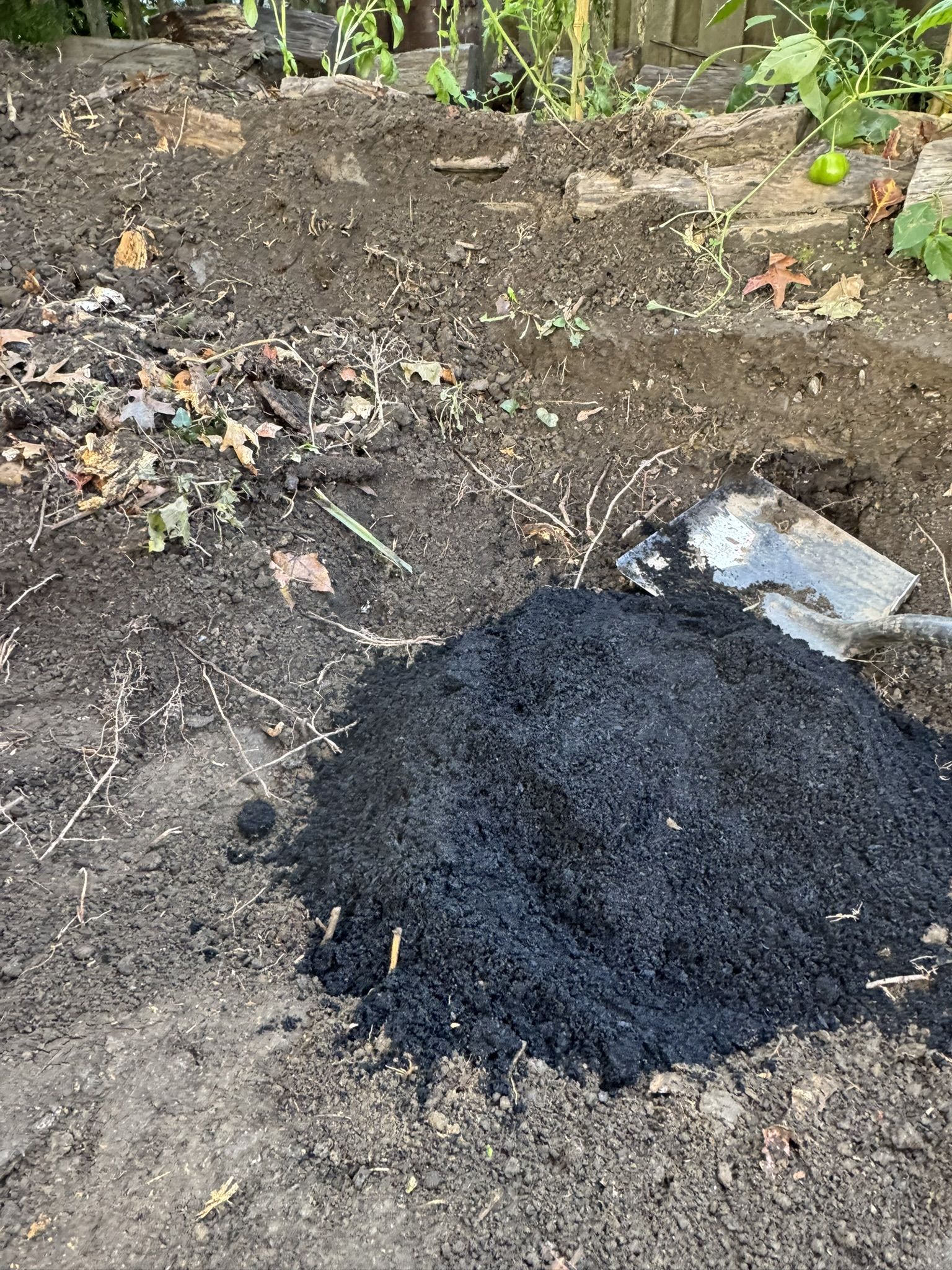 But first I needed to let the compost hang out with activated charcoal for a couple days
