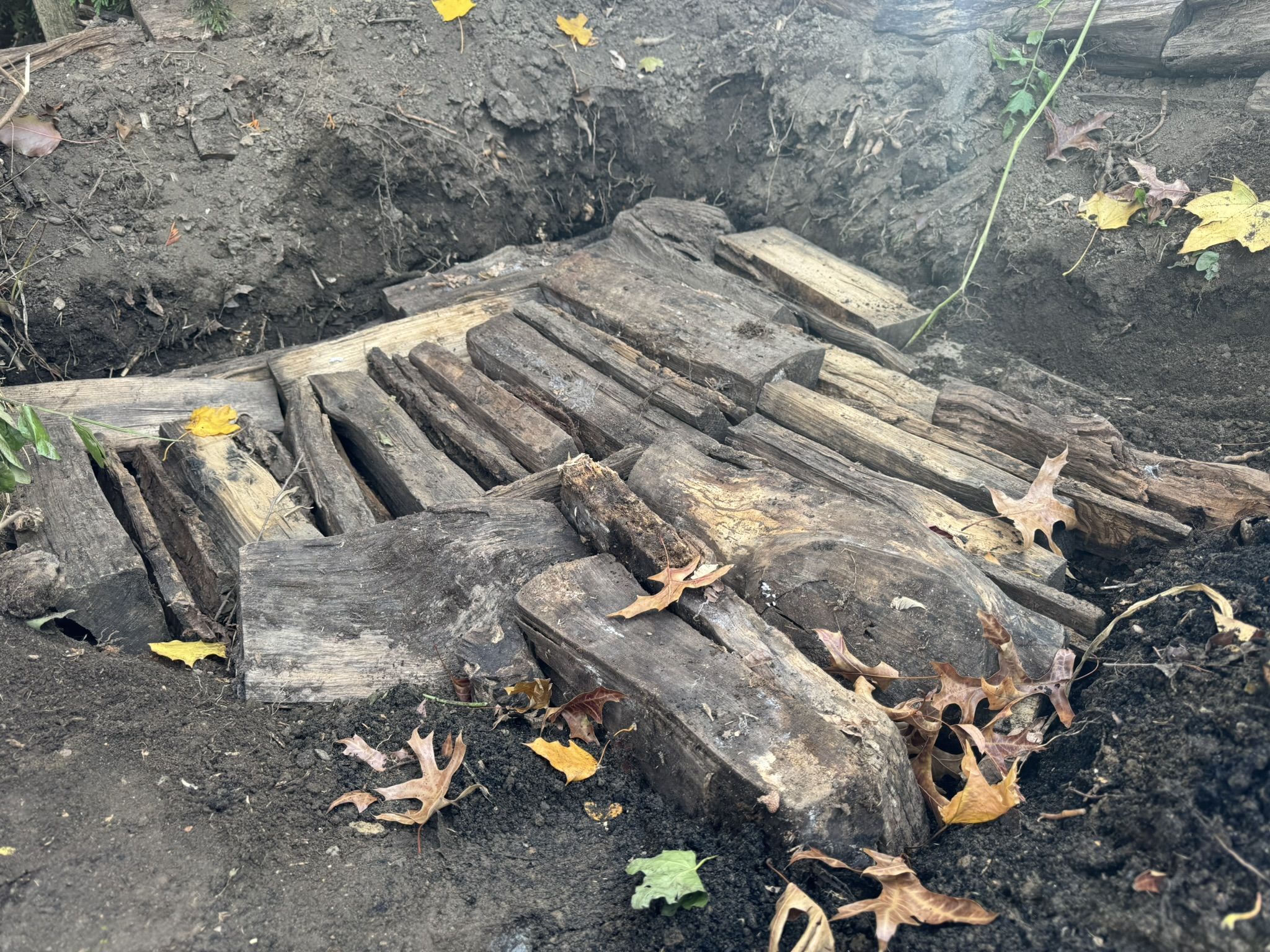 Nicely laid out bottom layer of wood and bark
