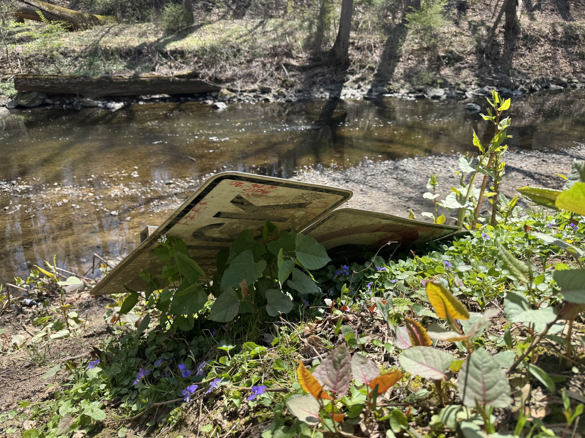 Sign crawling back out of the water 