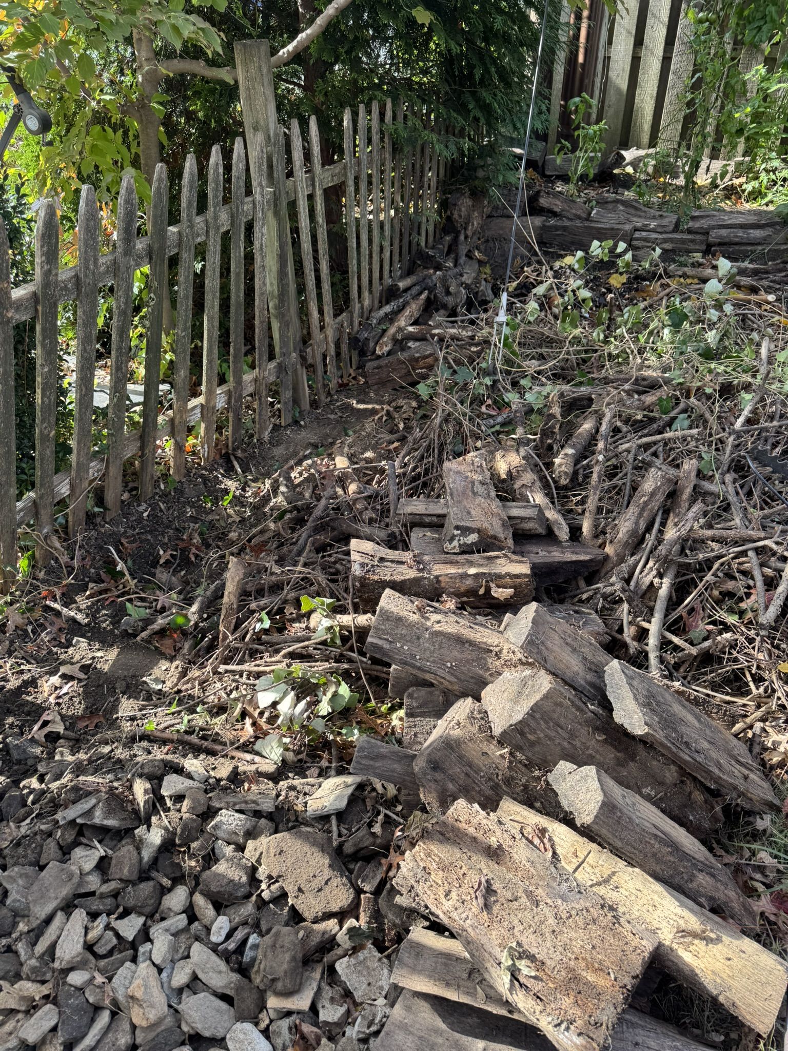 The back corner of my yard in front of my garden before the compost pile