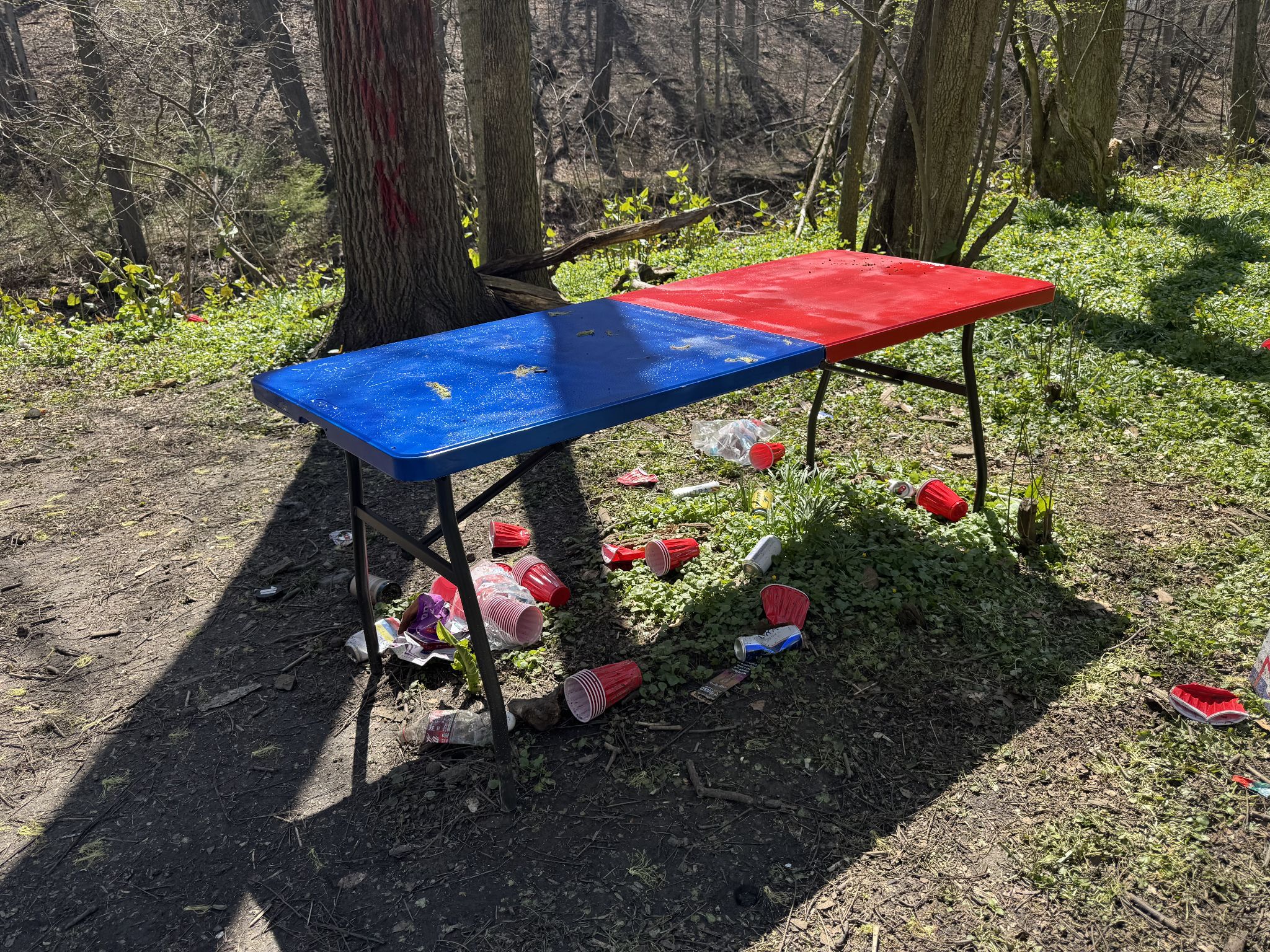 Pong table getting some action 