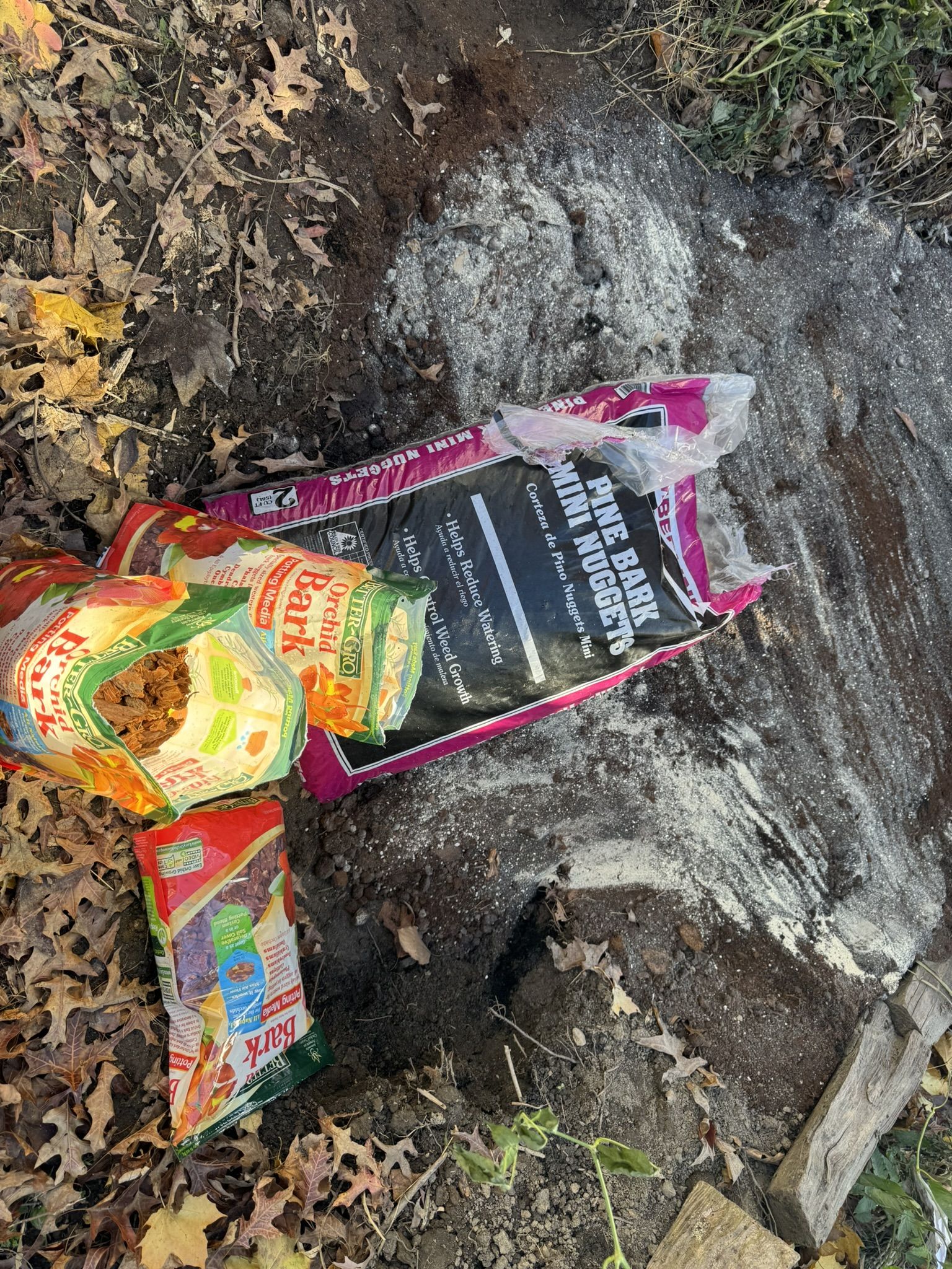 And then some nice pine bark and orchid wood chips