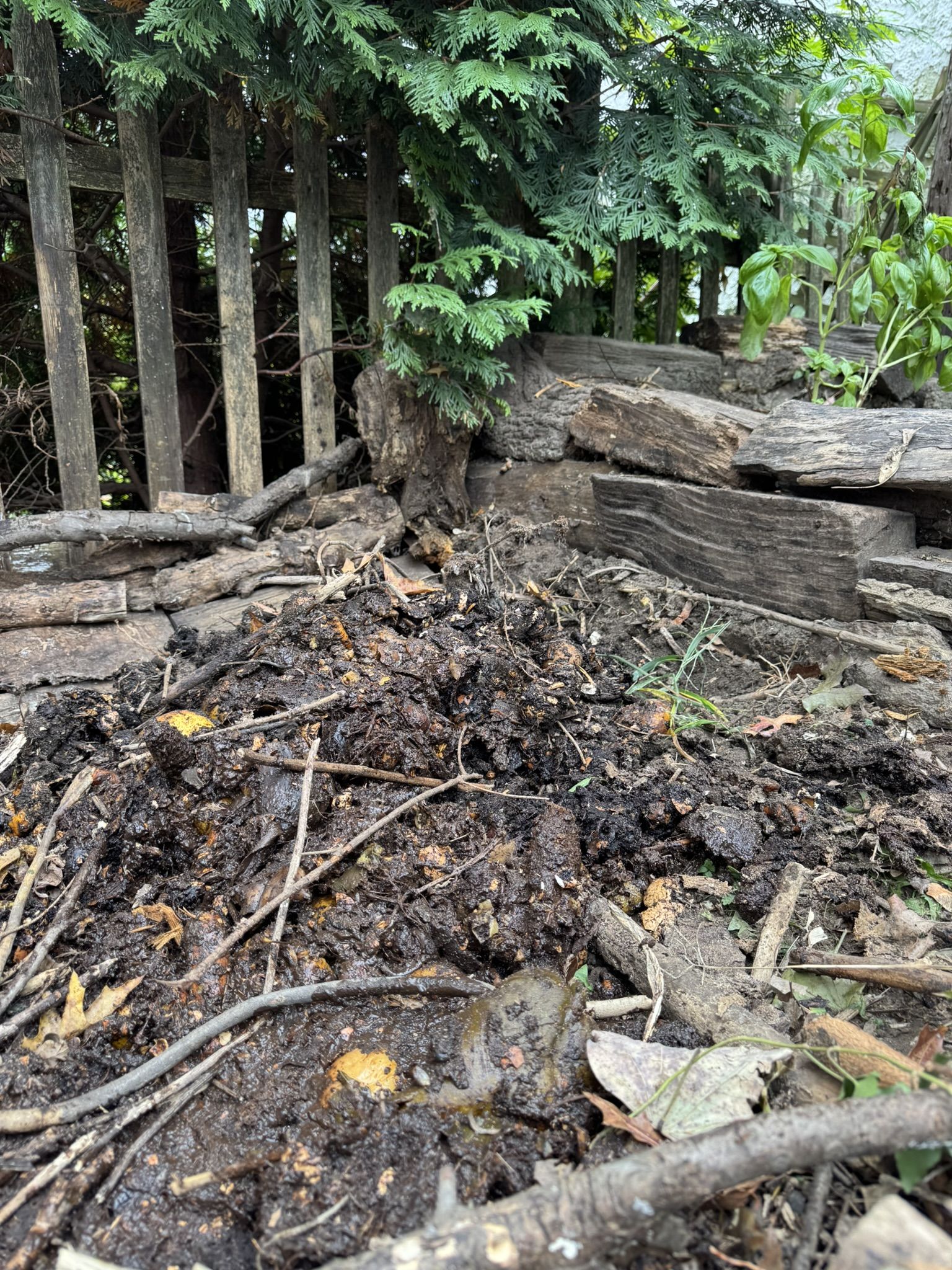 And the initial compost before I moved it