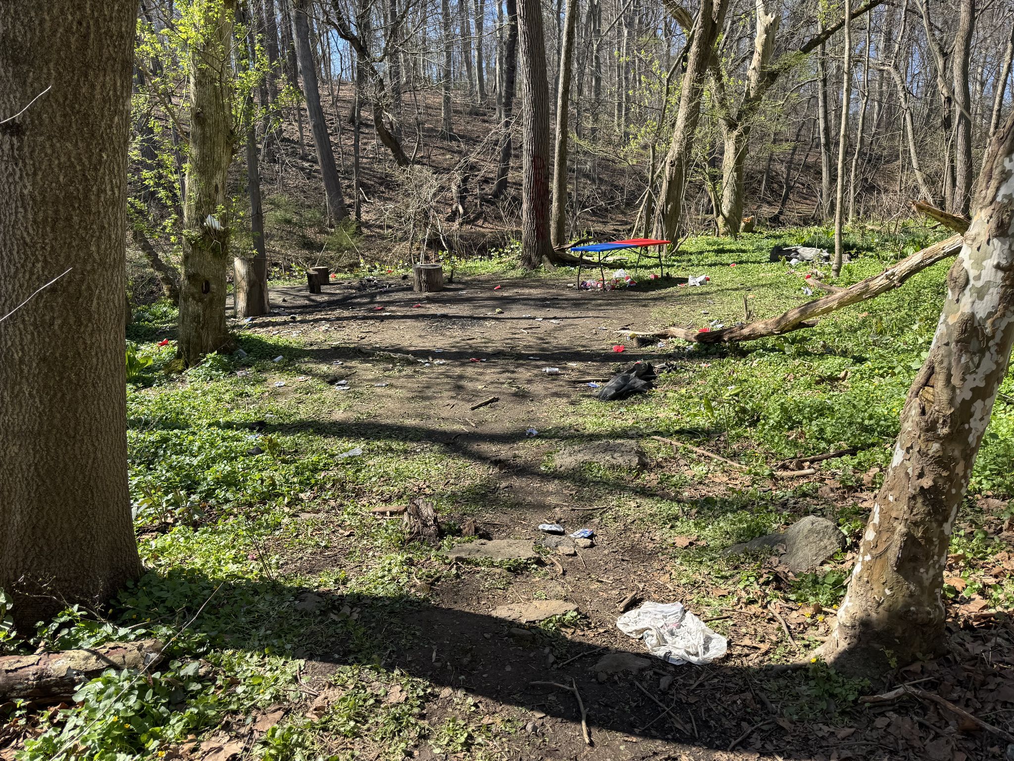 Nice little entrance 