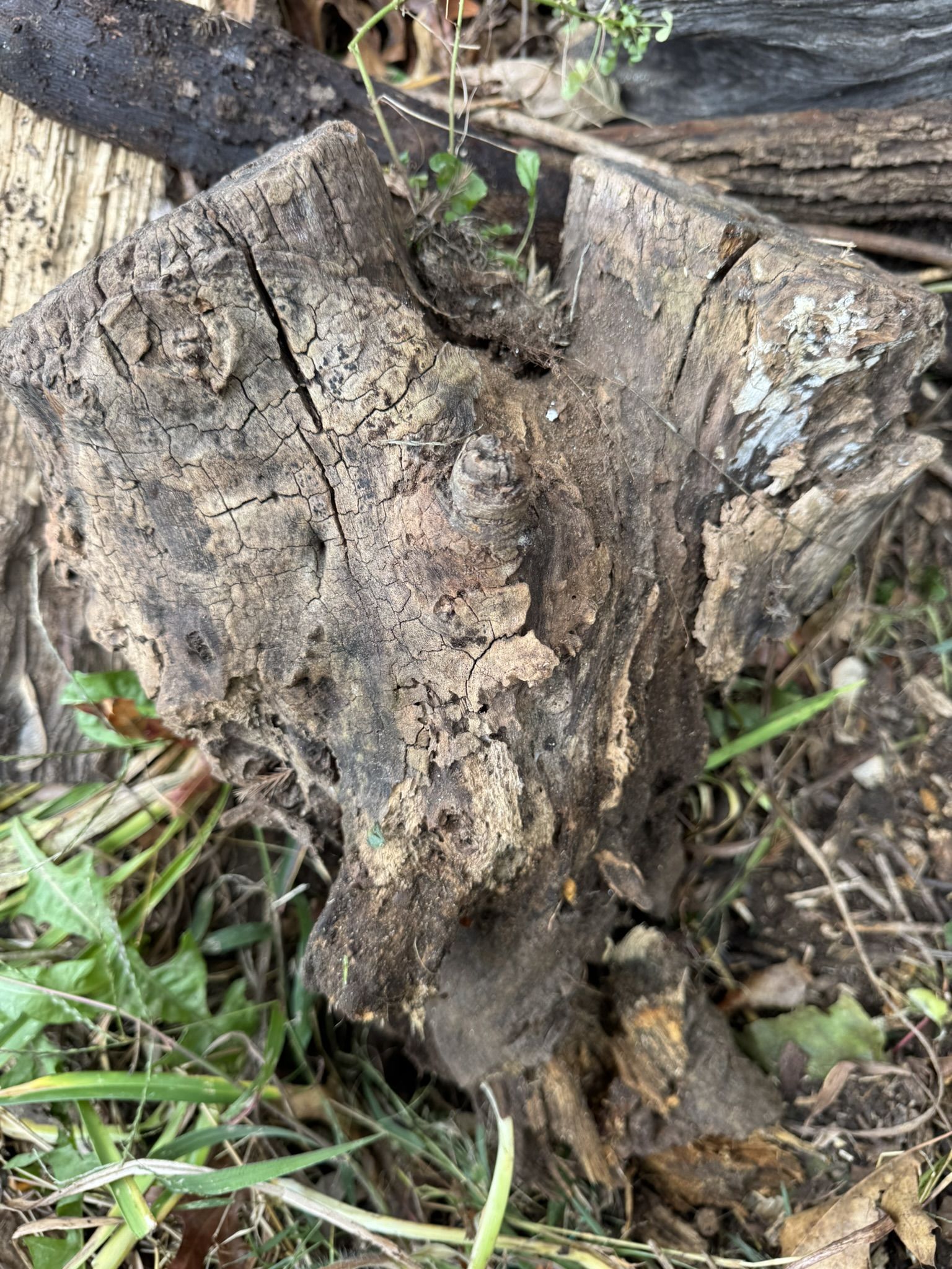 And the selected corner log