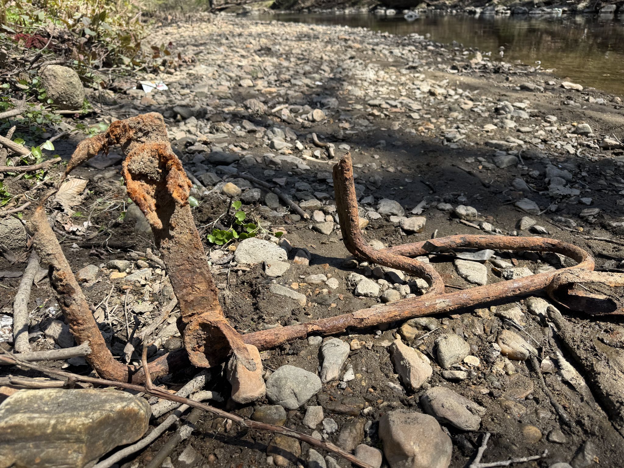Pretty sure the remains of an old shopping cart which is likewise returning to the earth 