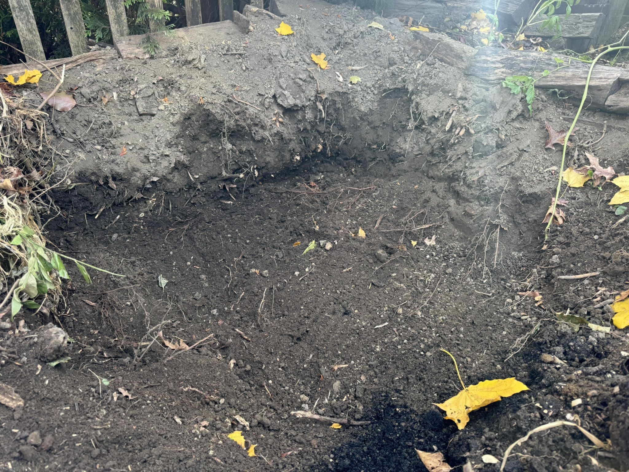 And I guess whatever is happening here